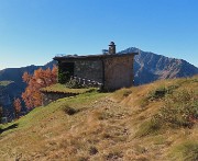 PIETRA QUADRA (2376 m) colorata d’autunno dalle Baite di Mezzeno-4nov24 -  FOTOGALLERY